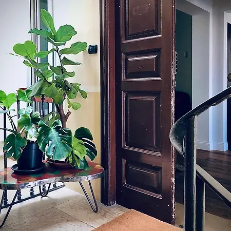 Apartment Nook Bari